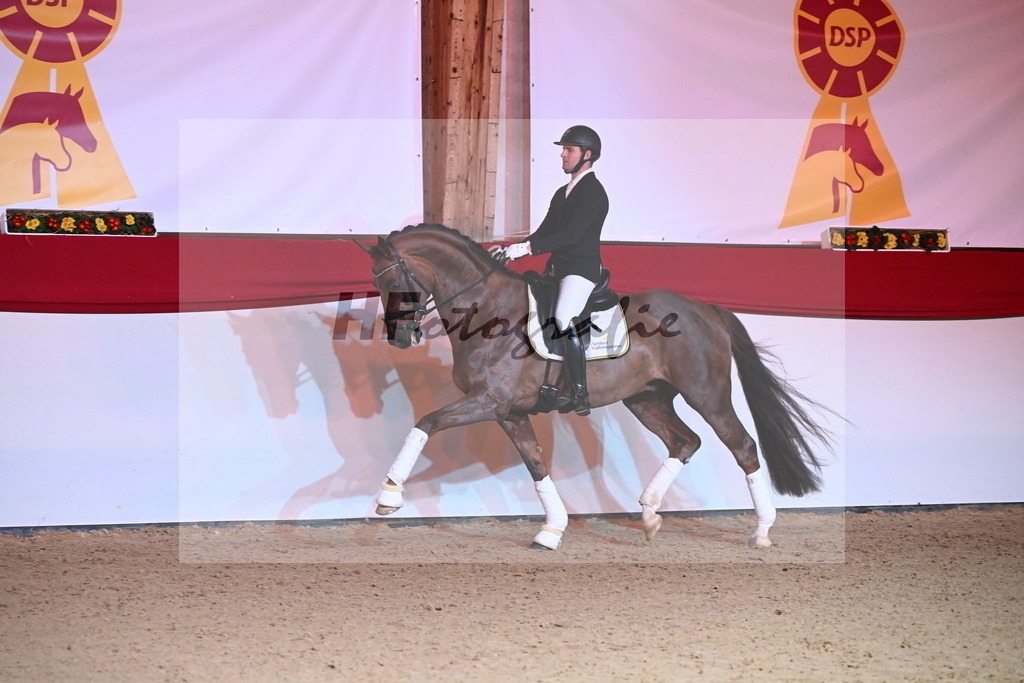 Feliciano_Wadenspanner_2254381 | hf-fotografie - Realisiert mit Pictrs.com