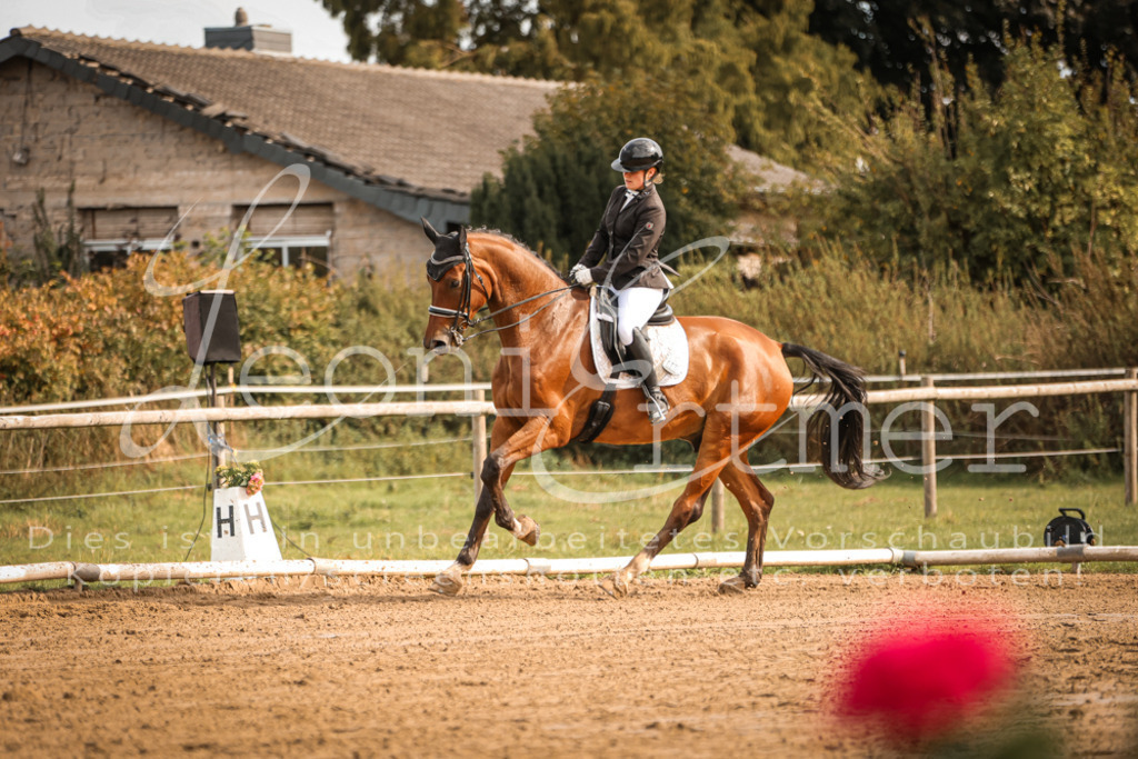 17.SoDrM00079 | Leoni Ertmer Photography - Realisiert mit Pictrs.com