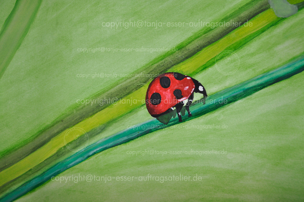 Aquarell Marienkaefer | Ein Marienkäfer (Coccinellidae) krabbelt einen Grashalm hinauf. Aquarell auf Aquarellpapier.