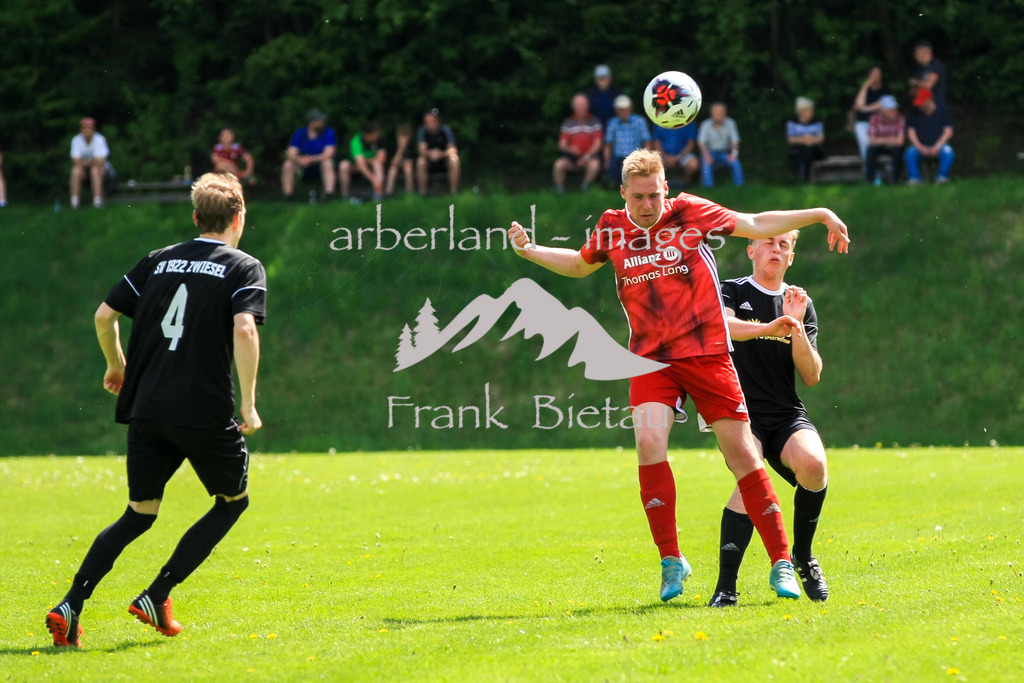 993T0476-2 | Medien- Sport- Entertainmentfotos