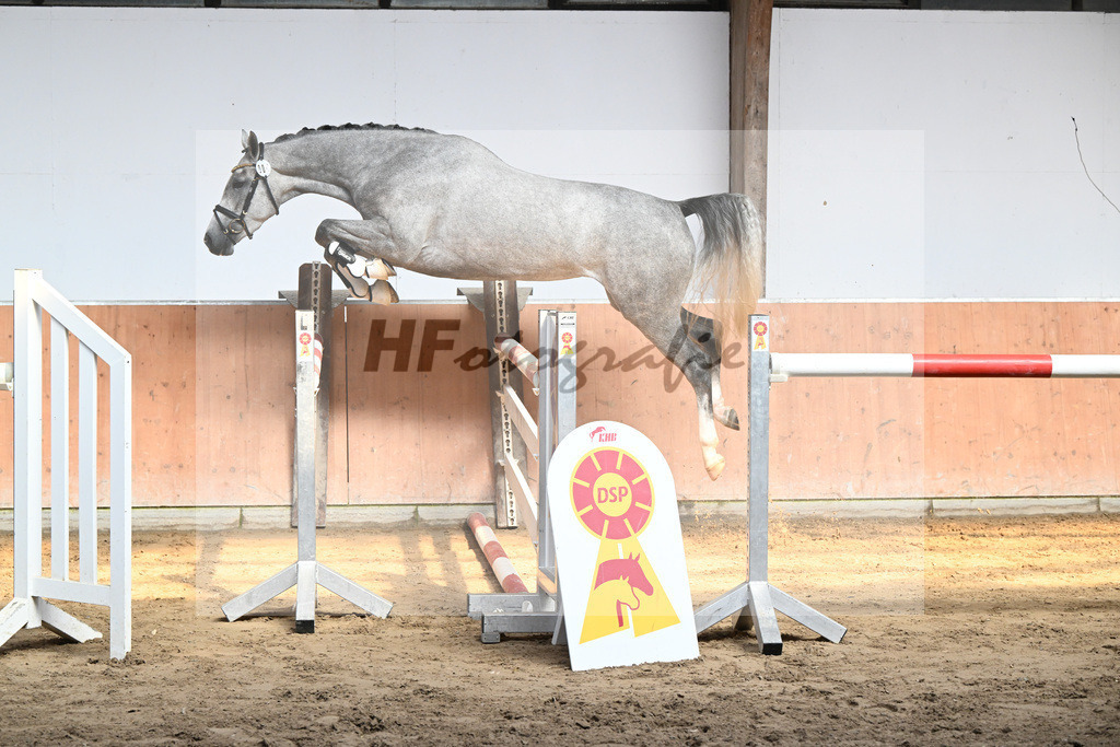 Kat-Nr. 6 La Traviata_Schindele_36230047 | hf-fotografie - Realisiert mit Pictrs.com