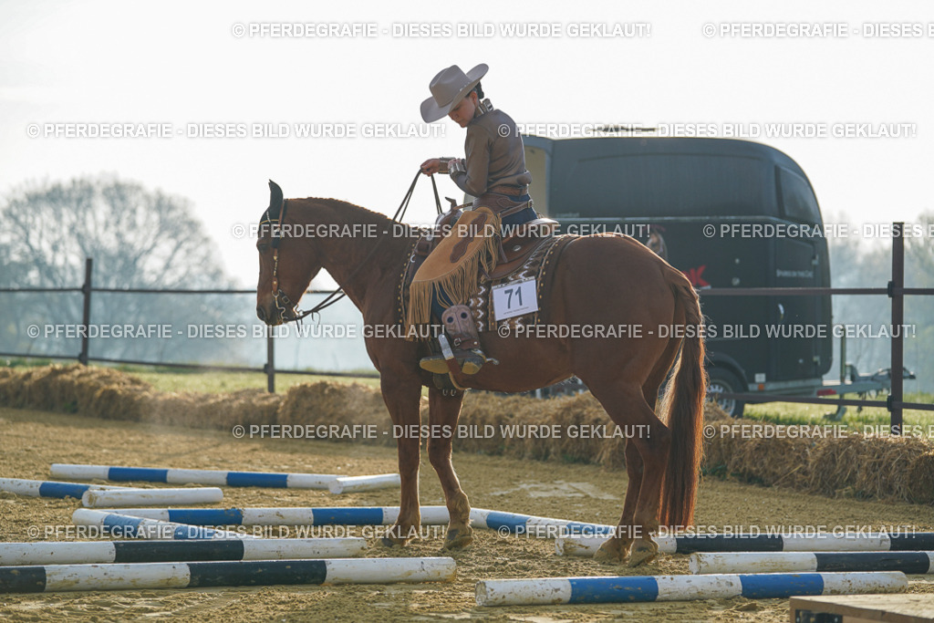 DSC09742 | Pferdegrafie