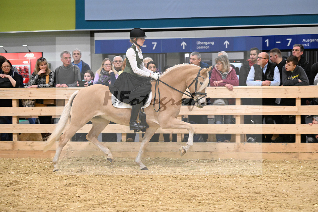 Schauprogramm_DSP Daria_1260869 | hf-fotografie - Realisiert mit Pictrs.com