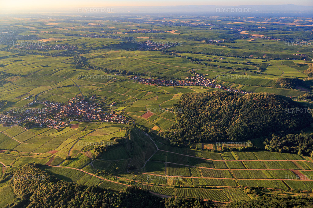 Luftbild: Weinlage Kastanienbusch aus Nordosten in Birkweiler im Bundesland Rheinland-Pfalz in Deutschland. Foto: IMG_091610.jpg vom 10.07.2016 durch Werner Riehm/FLY-FOTO.de