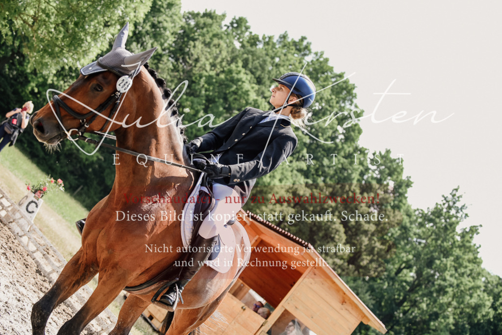 DSC_1133 | Pferde- und Turnierfotografie in Westsachsen. Pferdeportraits, Auftragszeichnungen und intuitive Kunst.
