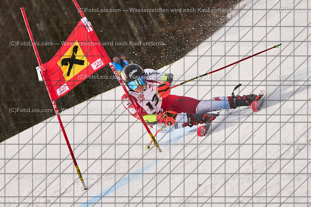ALP7816_Herrn-FIS-GS-II_Lackenhof-WY_Tabernig Nicolas | Internationaler FIS GiantSlalom der Herrn auf der Distelpiste in Lackenhof am Di 11. März 2025.  Österreich, LSV-NÖ, Sportunion Waidhofen/Ybbs (2035).