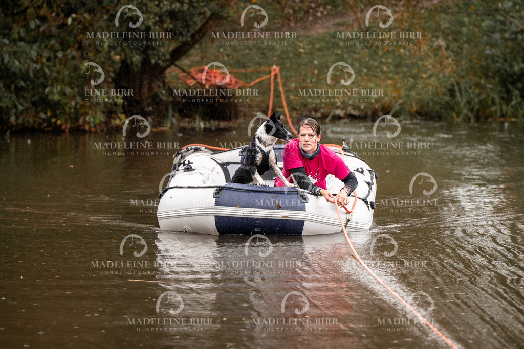 madeleinebirr-fotografie2025.campcanis.11-12Uhr-378 | hundefotografie-birr