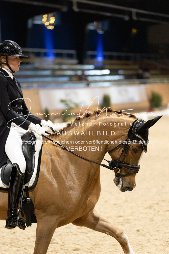 126A6229 | jasminmetznerfotografie