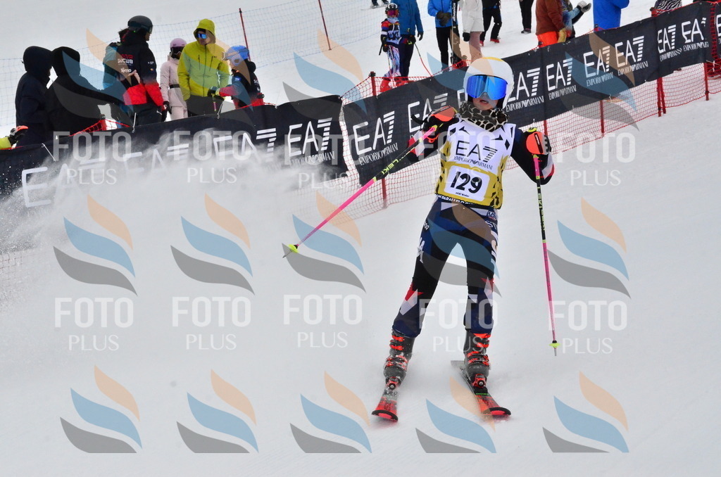 _ELE3703 | holidayphoto