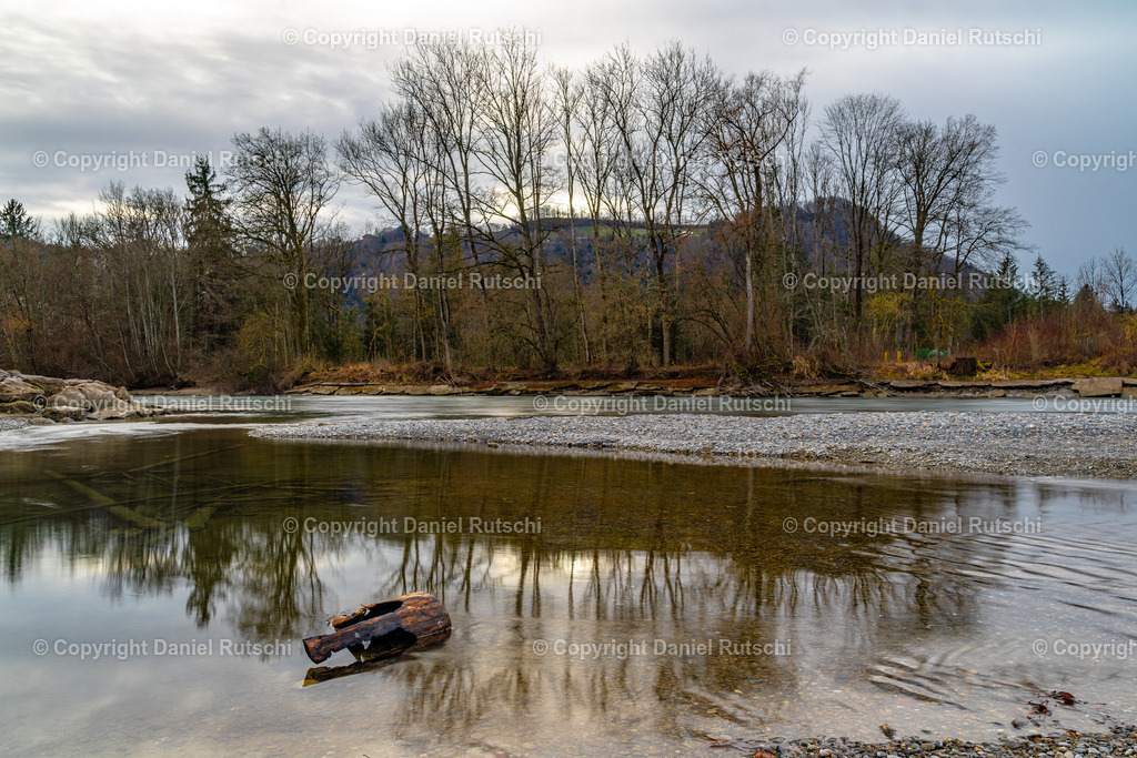 _DSC0147-Verbessert-RR | rutschi_photography - Realisiert mit Pictrs.com