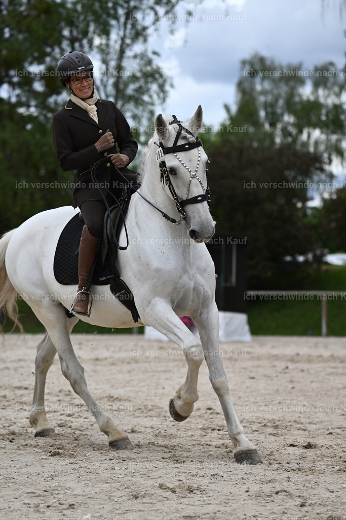PI26_ST_Sara_Landvogt226_2989.JPG | working equitationturnier fotograf videograf stoibphotography marixx film working equitation deutschland reitsport turnierfotografie eventfotografie equestrian events