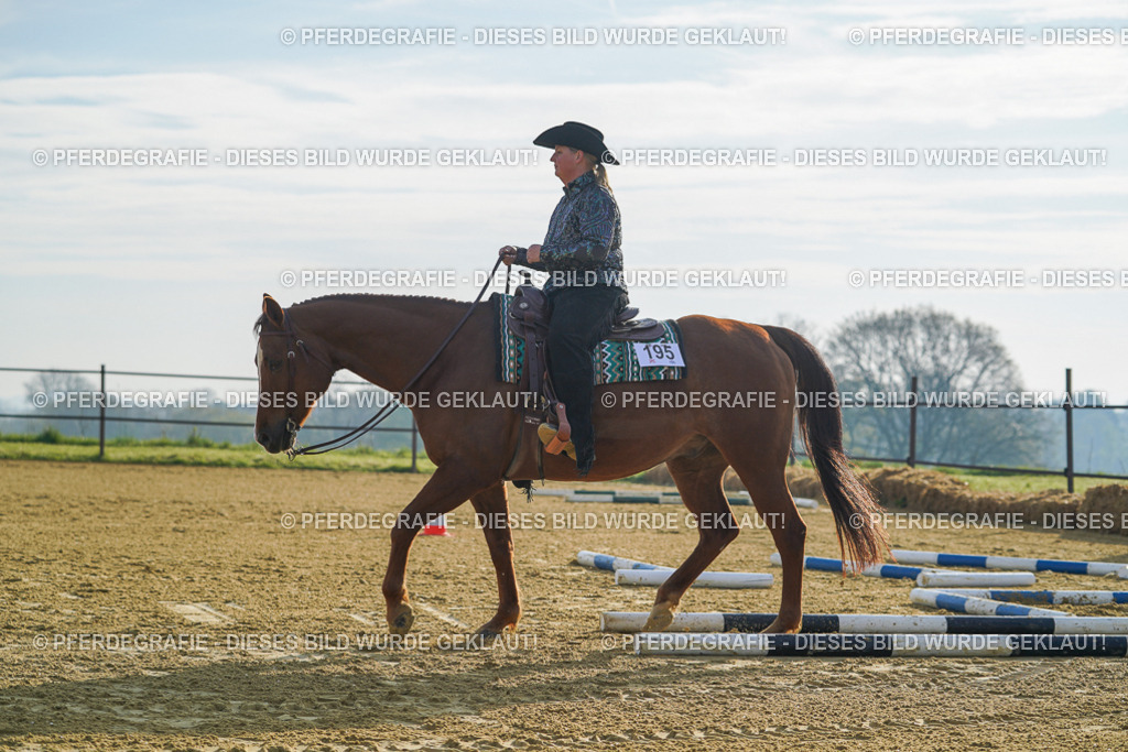 DSC00564 | Pferdegrafie