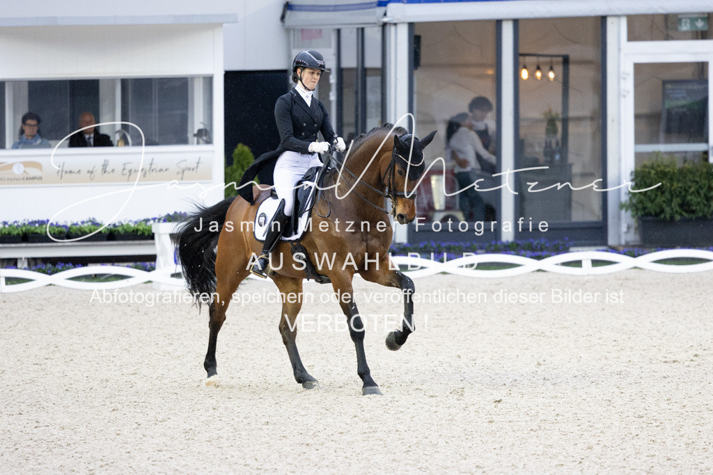 126A2527 | jasminmetznerfotografie