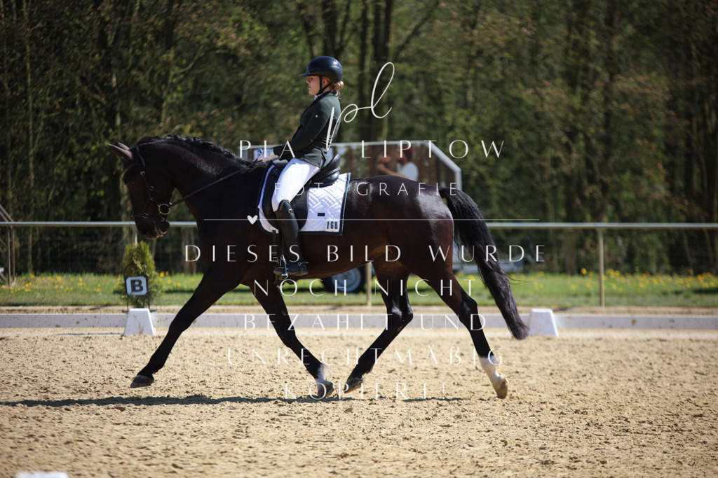 IMGT7777 | pl-fotografie