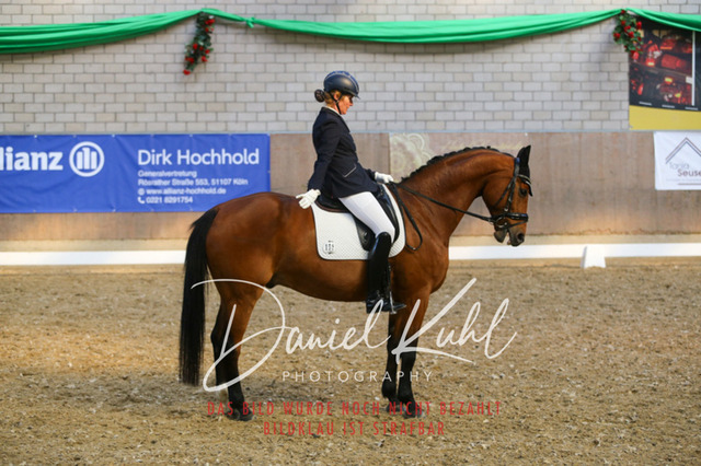 IMG_2615 | Turnierfotos kaufen im Webshop von Daniel Kuhl Photography – entdecke professionelle Reitsportfotos aus Turnieren & Events. Hochwertige Turnierbilder online bestellen & sichern. Jetzt Fotos von Reitsportturnieren kaufen!