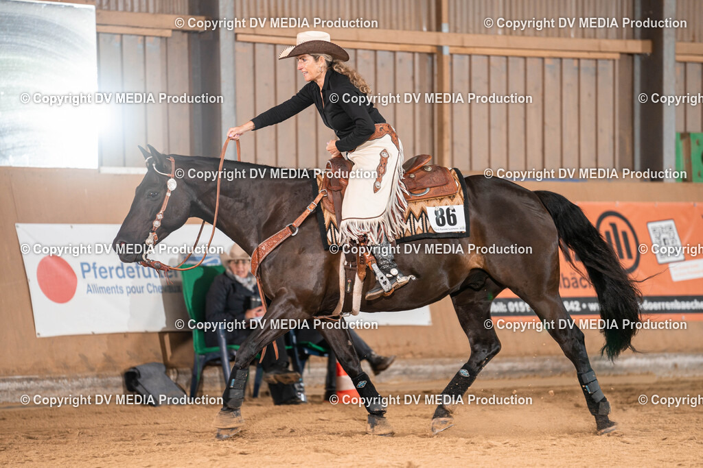 Losheim Tag 1-305 | dv-media-shop - Realisiert mit Pictrs.com