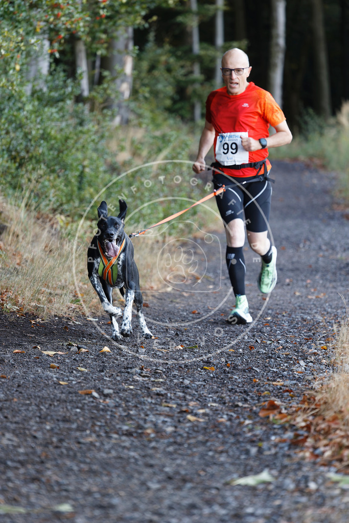 0L8A1714 | Hundefotografie, Tierfotograf, Pfotenfotografie, Fotoshooting Hund, Hunde Portrait, Hundesport, Hundeportraits, Heideshooting, Hunde, Sportfotograf, Hundefotograf, Turnierhundsport, THS,  - Realisiert mit Pictrs.com