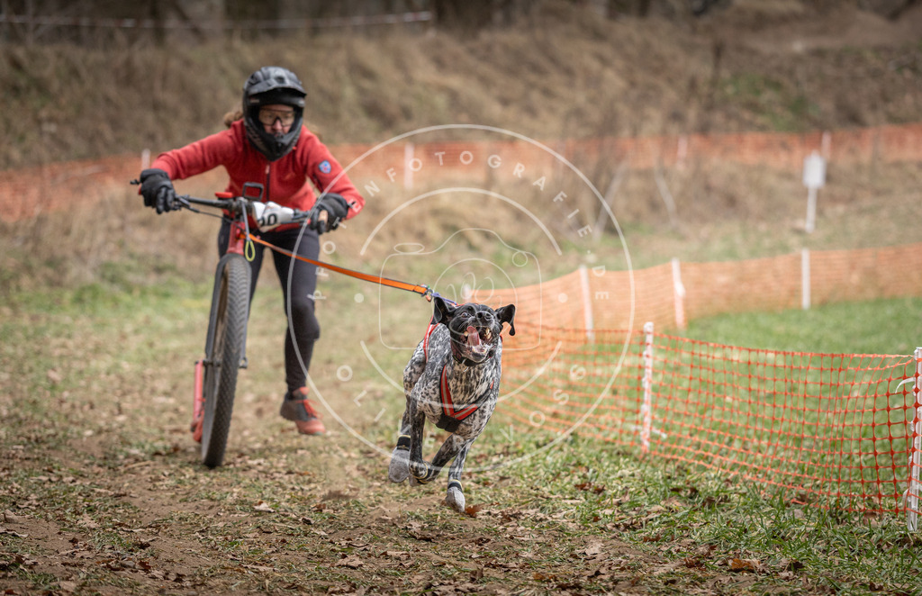 Pfotenfotografie_DV3A6692 | Hundefotografie, Tierfotograf, Pfotenfotografie, Fotoshooting Hund, Hunde Portrait, Hundesport, Hundeportraits, Heideshooting, Hunde, Sportfotograf, Hundefotograf, Turnierhundsport, THS,  - Realisiert mit Pictrs.com