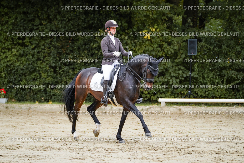 DSC08720 | Pferdegrafie