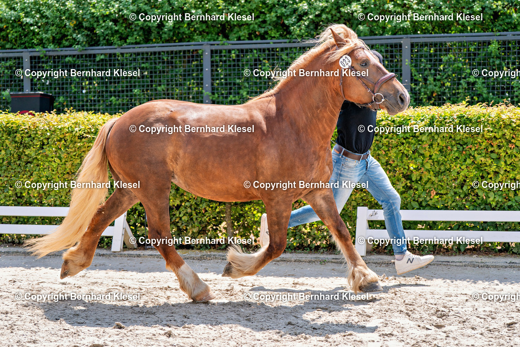 2A900826 | foto-team-bernhard - Realisiert mit Pictrs.com