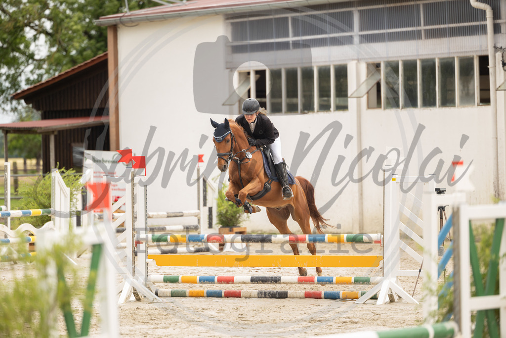 994A0121 | sabrinanicolaifotografie - Realisiert mit Pictrs.com