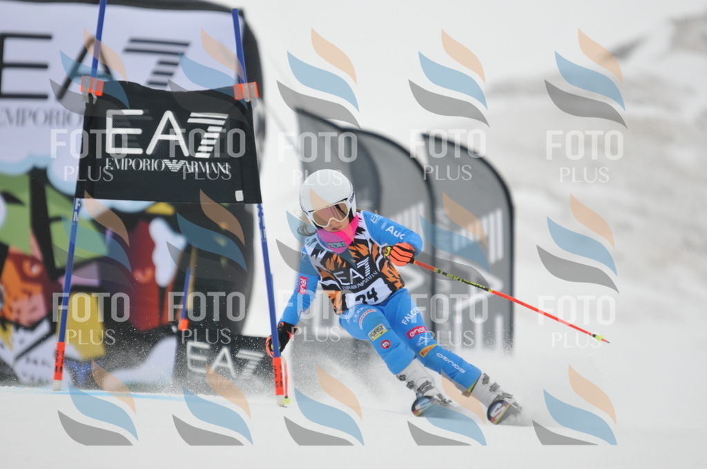 DSC_7572 | holidayphoto