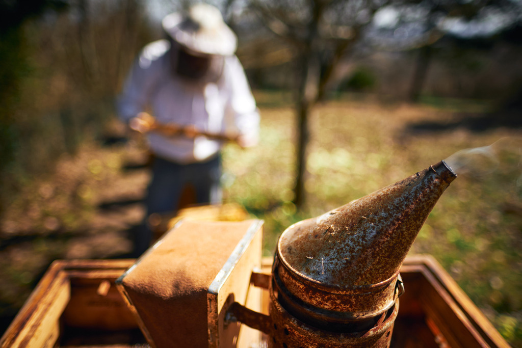 Smoker zur Beruhigung der Bienen im Einsatz | Bisamberg, Austria - March 30, 2021; Bio-Imkerei Biene Joe; Smoker zur Beruhigung der Bienen im Einsatz, im Hintergrund ein Imker. - Realisiert mit Pictrs.com