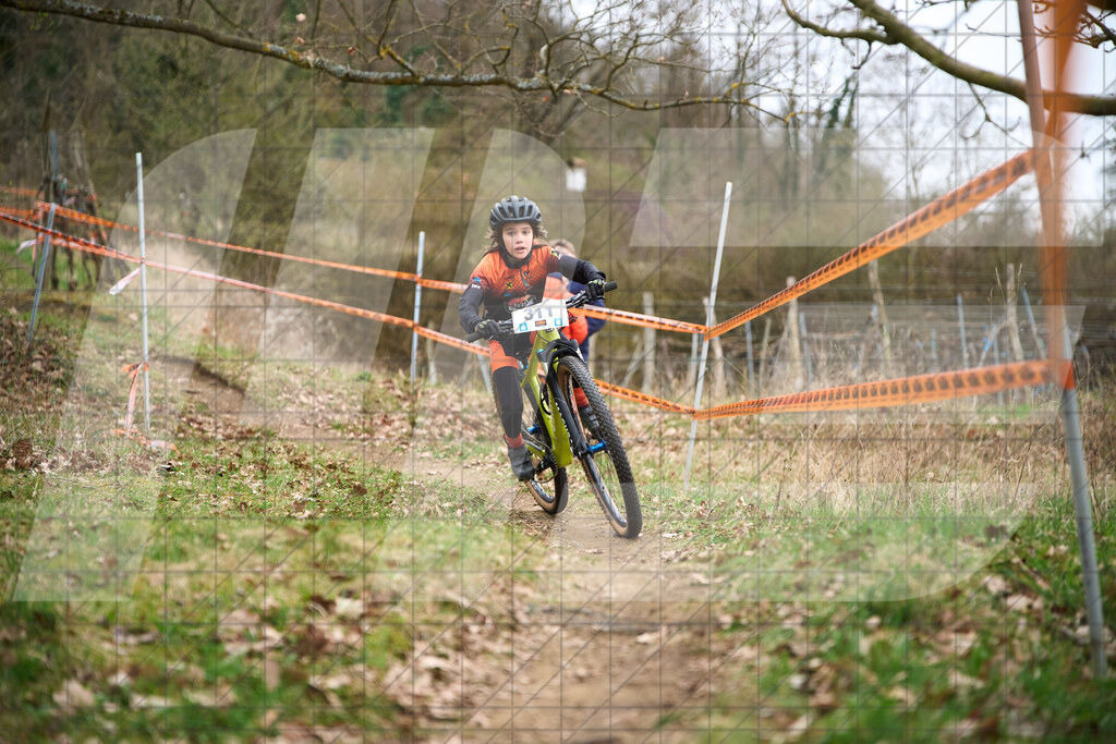 34. KTM Kamptal Trophy  | ZÖBING, Österreich – 2026-03-28: 34. KTM Kamptal TrophyFoto: © 2026 Martin Bihounek - MB Creative e.U.