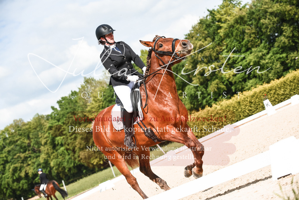 20230518_JK-Röhrsdorf-12-0167 | Pferde- und Turnierfotografie in Westsachsen. Pferdeportraits, Auftragszeichnungen und intuitive Kunst.