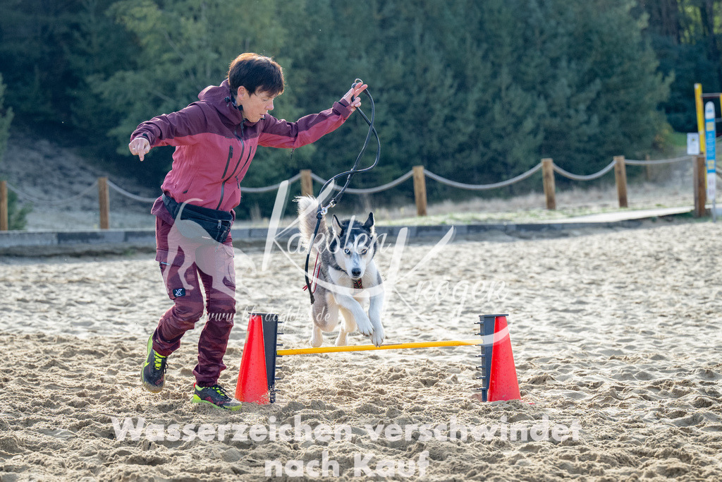 0951_ZZ92909 | kk-dogfotos