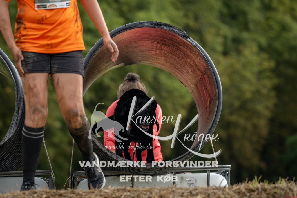 0950_ZZ91200 | kk-dogfotos
