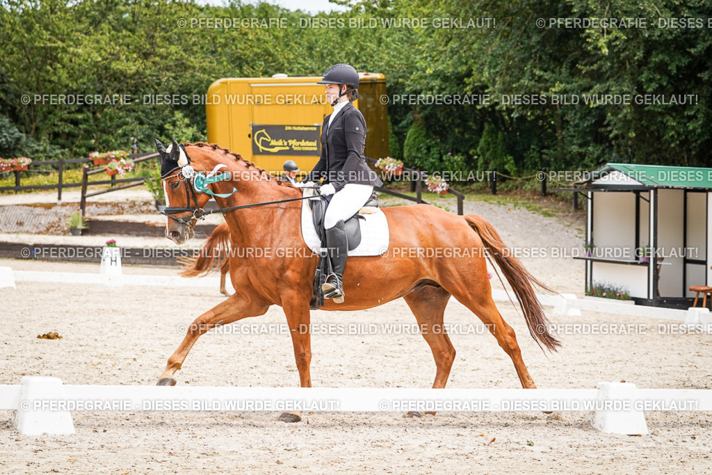 DSC04618 | Pferdegrafie