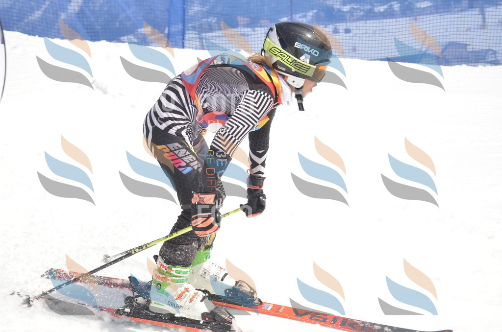 _ELE9246 | holidayphoto