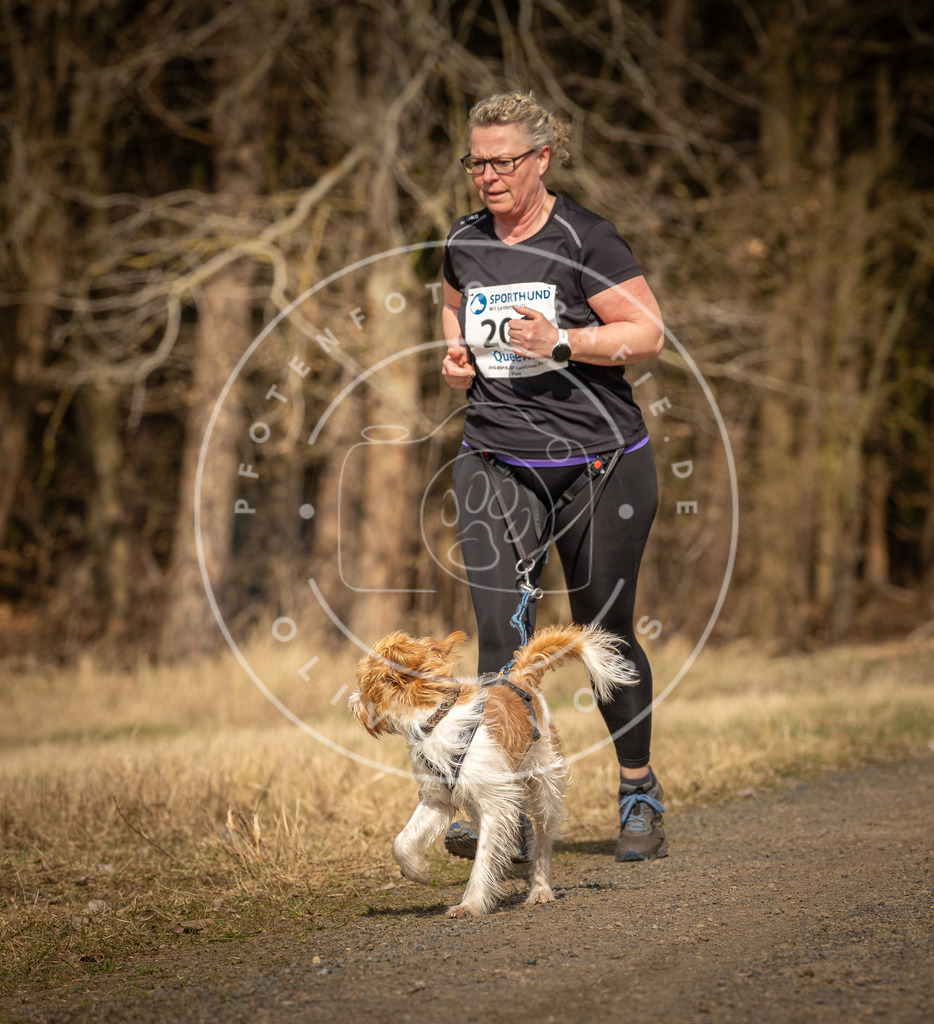 DV3A5545 | Hundefotografie, Tierfotograf, Pfotenfotografie, Fotoshooting Hund, Hunde Portrait, Hundesport, Hundeportraits, Heideshooting, Hunde, Sportfotograf, Hundefotograf, Turnierhundsport, THS,  - Realisiert mit Pictrs.com