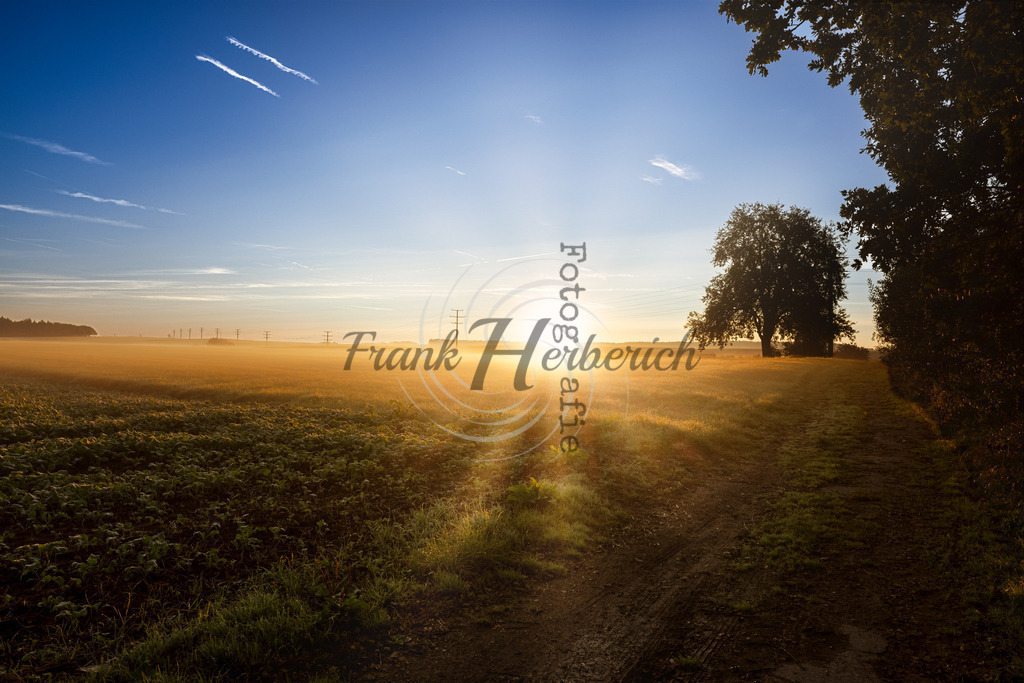 2023_09_25_9999_14 | Frank Herberich Fotografie, Frank Herberich, Fotografie, Hochzeit, Portrait, St. Peter Ording, Ording, Westerhever, Nordsee, Frank Fotografie, Hardheim,  Odenwald,Walldürn, Band,Eventfotografie - Realisiert mit Pictrs.com