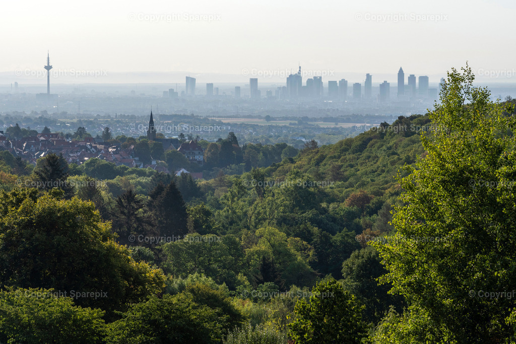 PAR_Skyline_Frankfurt_Day7 | not sharpened - Realisiert mit Pictrs.com