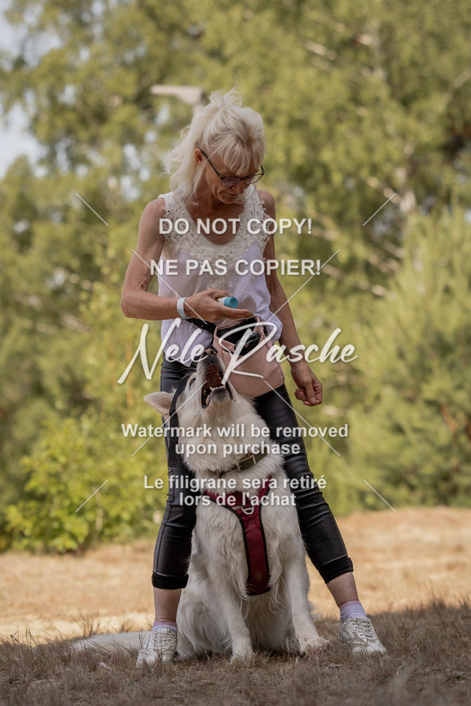 nelerasche_soDD2_193 | nelerasche