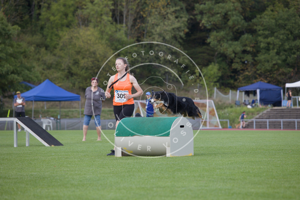 0L8A4156 | Hundefotografie, Tierfotograf, Pfotenfotografie, Fotoshooting Hund, Hunde Portrait, Hundesport, Hundeportraits, Heideshooting, Hunde, Sportfotograf, Hundefotograf, Turnierhundsport, THS,  - Realisiert mit Pictrs.com