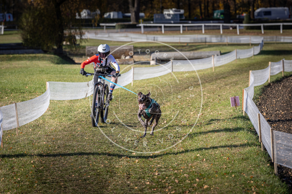 CaniXpix_DV3A4049 | Hundefotografie, Tierfotograf, Pfotenfotografie, Fotoshooting Hund, Hunde Portrait, Hundesport, Hundeportraits, Heideshooting, Hunde, Sportfotograf, Hundefotograf, Turnierhundsport, THS,  - Realisiert mit Pictrs.com