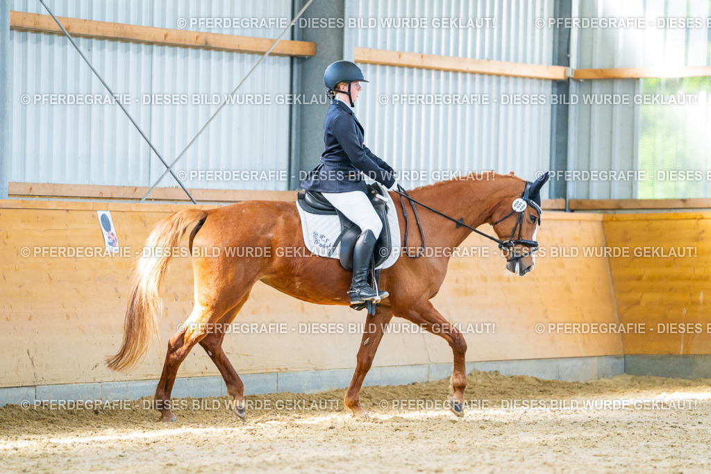 DSC07037 | Pferdegrafie