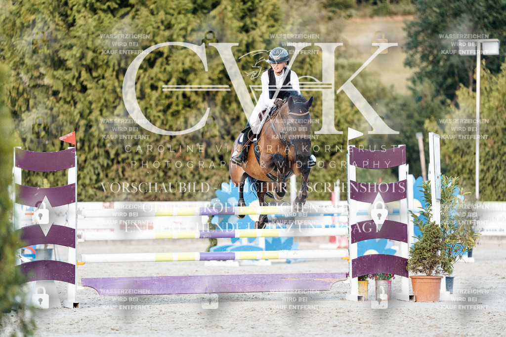 CK901451 | Turnierfotografie Pferdefotografie Trier Rheinland-Pfalz Pferdesport Reitsport Tierfotografie Sportfotografie Pferdevideo Pferdevideografie Equestrianvideography equestrianphotography  - Realisiert mit Pictrs.com
