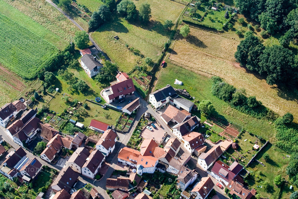 Luftbild: Hohlstr im Ortsteil Gräfenhausen in Annweiler im Bundesland Rheinland-Pfalz in Deutschland. Foto: IMG_12063.jpg vom 31.07.2008 durch Werner Riehm/FLY-FOTO.de