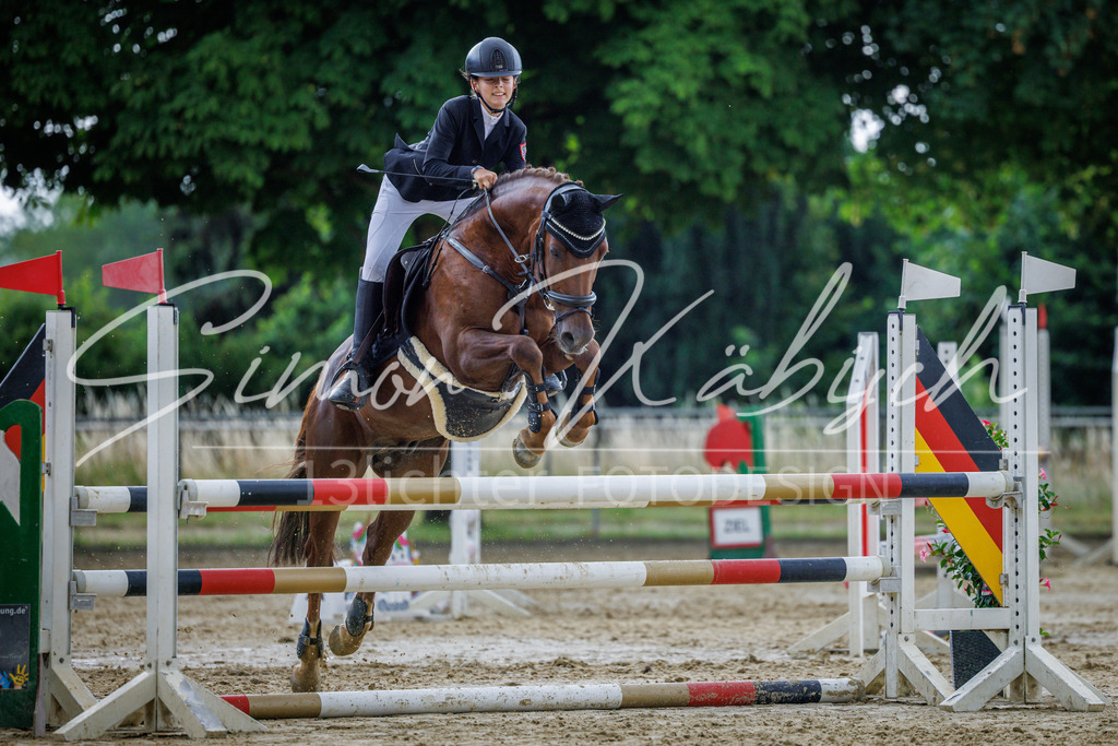 20260705-_3LI4674 | Tierfotografie Pferde, Hunde, Katzen, Haustiere.
Turnierfotografie Reitturniere, Reiten, Springreiten, Dressur in Hanau, dem Main-Kinzig-Kreis und dem Rhein-Main- Gebiet um Frankfurt