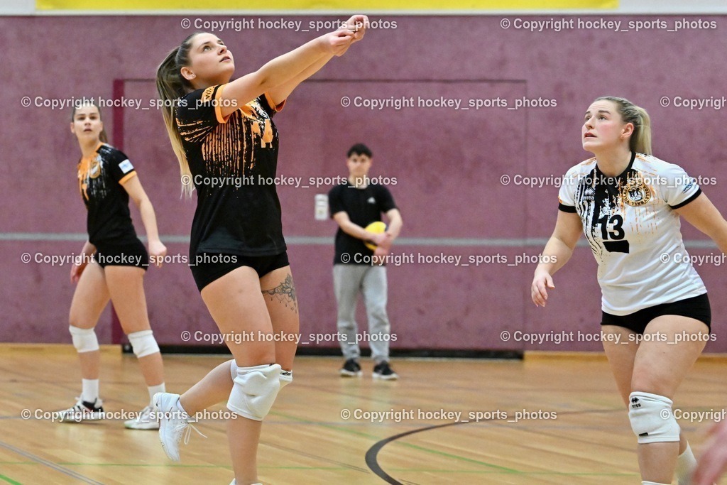 ASKÖ Volley Eagles vs. SSV HIB Volley 21.1.2024 | #14 Elwira CEHIC, #13 Vanessa BEBEKAJLO