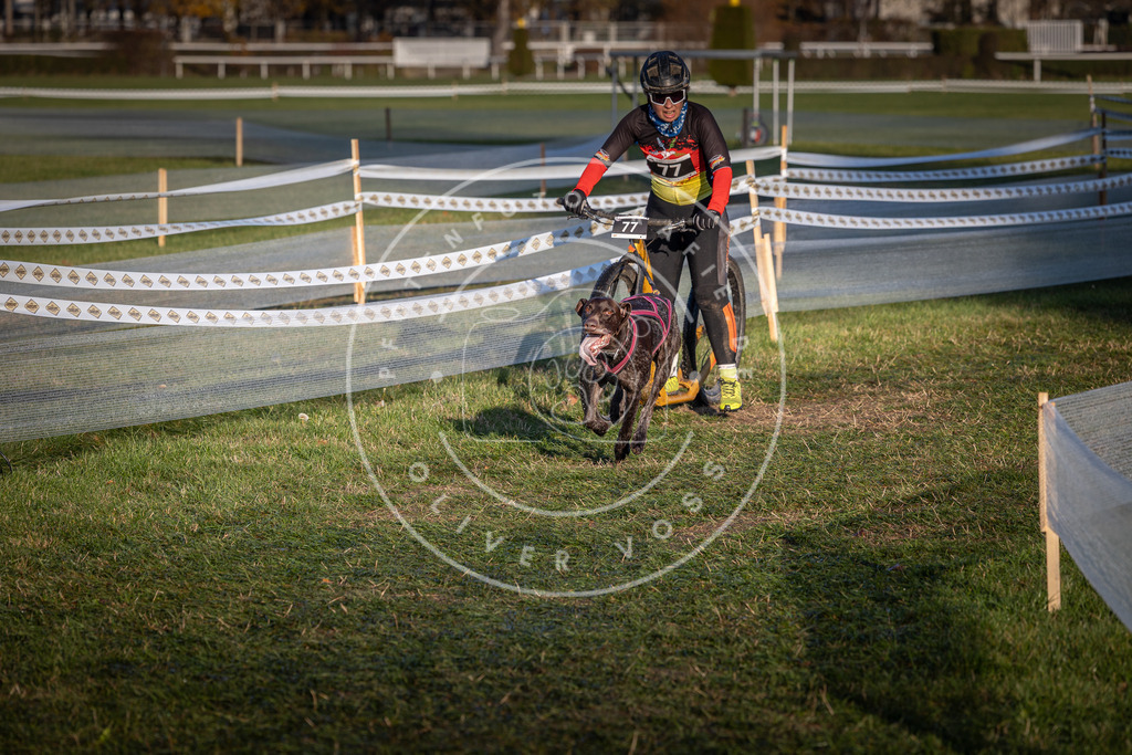 CaniXpix_0L8A3625 | Hundefotografie, Tierfotograf, Pfotenfotografie, Fotoshooting Hund, Hunde Portrait, Hundesport, Hundeportraits, Heideshooting, Hunde, Sportfotograf, Hundefotograf, Turnierhundsport, THS,  - Realisiert mit Pictrs.com
