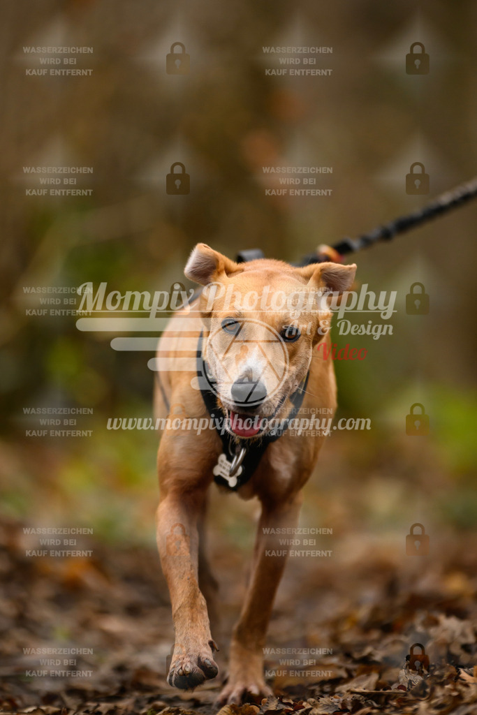 MompixPhotography_Eschau2024_CCC-52 | PayLife