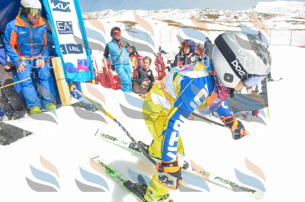 _ELE6414 | holidayphoto