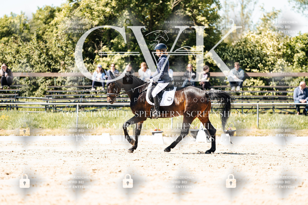 CK905340 | Turnierfotografie Pferdefotografie Trier Rheinland-Pfalz Pferdesport Reitsport Tierfotografie Sportfotografie Pferdevideo Pferdevideografie Equestrianvideography equestrianphotography  - Realisiert mit Pictrs.com