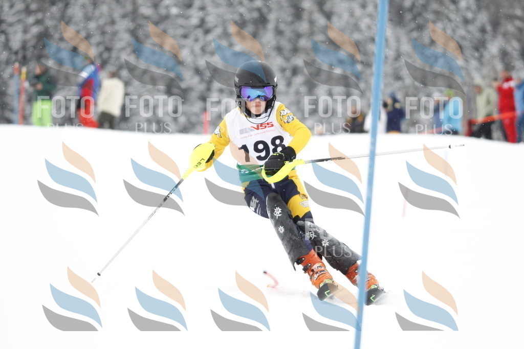 A2019 | holidayphoto