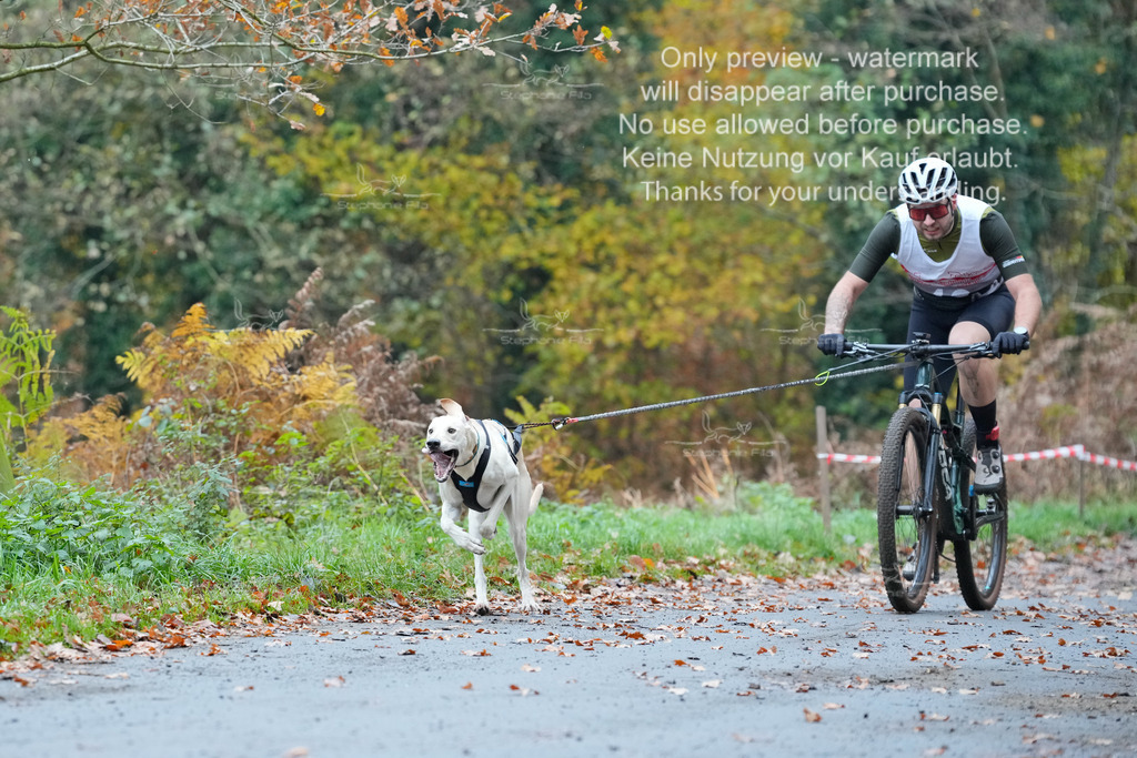 Bike_So-7 | stephaniefillaphotographie - Realisiert mit Pictrs.com